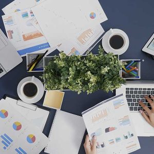 Search Engine Optimization